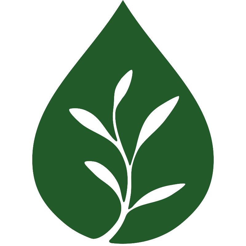 E-Book Guide Drainage Lymphatique